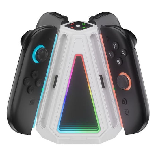 Base for 4 Switch Controllers 2 White HR263D
