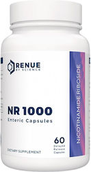 Renue Nicotinamide Riboside (NR) 500mg 60 Capsule