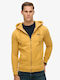Sweatshirt with Hood Brown