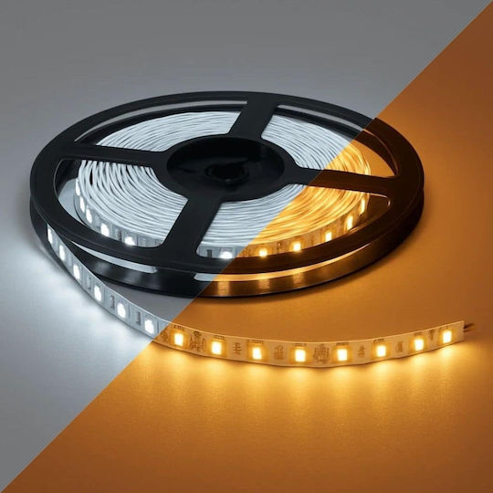 LED Лента 14.4W 12V DC SMD5050 IP20 Топло и Студено Бяло 3000K + 6000K – 1 Метър