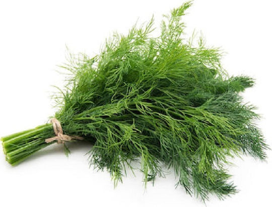 Evotris Σπόροι Άνηθος 1kg