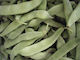 Evotris Samen Bohne Grüne Rotbarbe 100gr