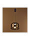 Pendant Sven Black Elbulgaria Led 5W 3000-6000K 4233/1P SM Ceiling Light