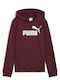 Kids Sweatshirt with Hood Burgundy Hoodie Fl