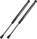 Bmw E90 51247060623 2 Pieces Package Trunk Lift Supports Shock Springs Hydraulic Shock Lever Black