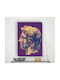 Painting Canvas Alexander Great Pop Art 40x60 Cm