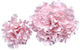 Pink Peony 7cm Handmade Non Edible Sugarpaste Decoration In EU