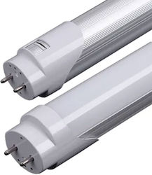 LED Bulb for Socket G13