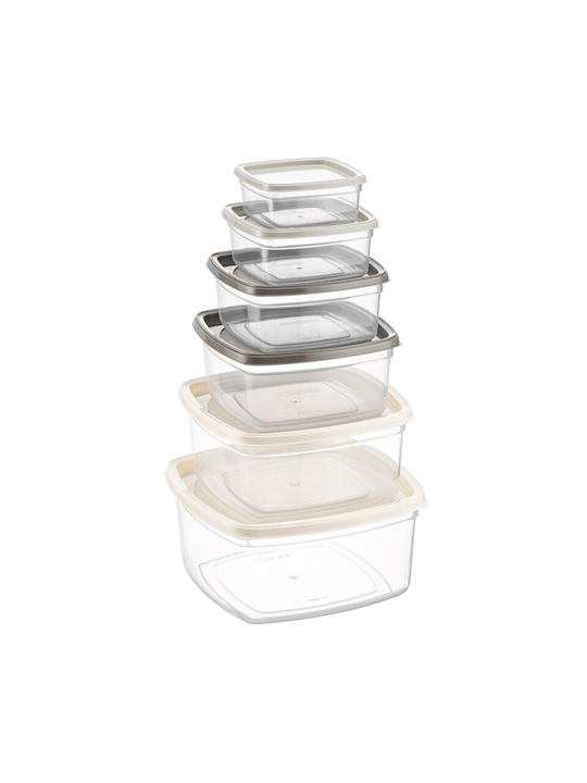 Viosarp Plastic Lunch Box Transparent 6pcs