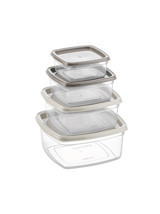 Viosarp Plastic Lunch Box Transparent 4pcs