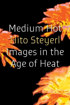 Medium Hot: Images In The Age Of Heat Hito Steyerl Verso Books