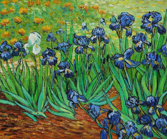 Olympus Diamond Painting "irises Van Gogh" Ψηφιδωτό Μωσαικό "ίριδες Βαν Γκογκ" 50χ40