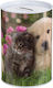 Metal Money Box Kitten & Puppy 10x15cm