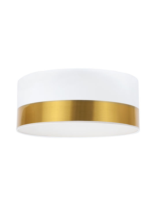 Light Home Ceiling Mount Light White with Socke...
