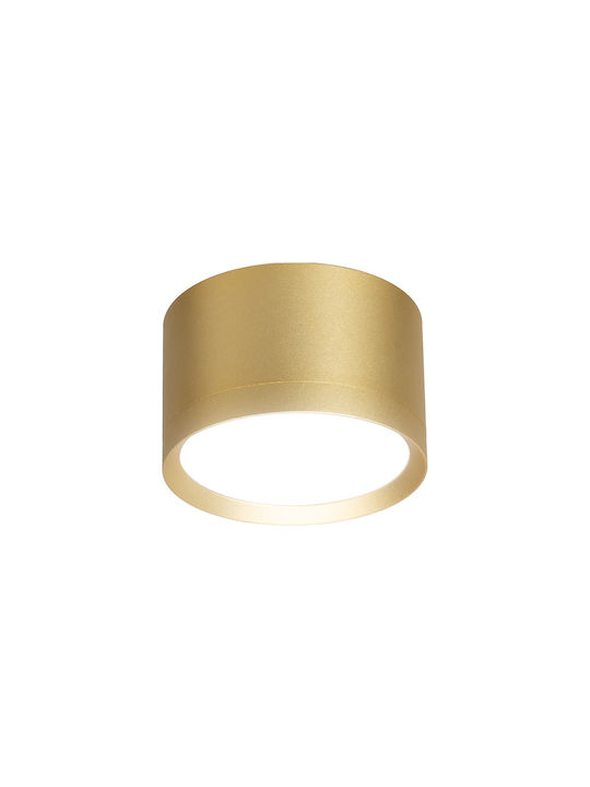 Eko Light Einzel Spot mit Fassung null in Gold Farbe