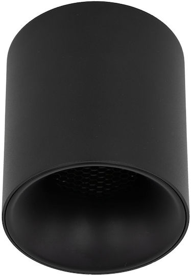 TK Lighting LED Warm to Cool White Spot in Black Color