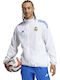 Real Men's Cardigan White