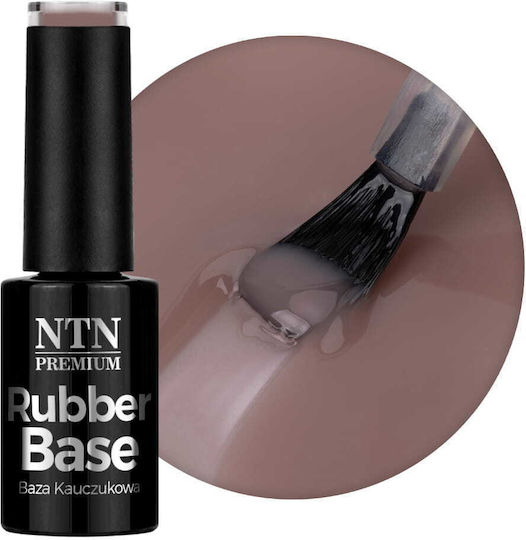 Rubber Base Medium Elastic Rubber Business Line Ntn Premium 5g No 6