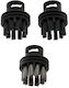 Adler Brush for Vacuum Cleaner