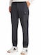 Hose Cargo Gray