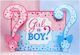 Banner Petrecere Flippy Fata Băiat Design Tematică Revelarea Genului 150 X 100 Cm Albastru Roz