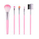 Set 5 Make-up Pinsel Flippy Reise Lidschatten Puder Synthetische Borste Rosa