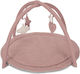 Lorelli Activity Gym for Newborns
