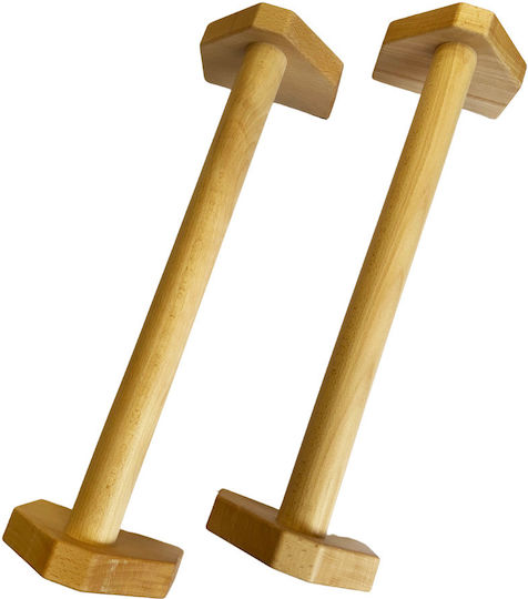 Rage Push Up Handles Set of 2