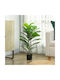 Homcom Artificial Plant Ficus Lyrata Height 80 cm Indoor Spaces Pot Decoration Home Office Green 83c-056v00gn