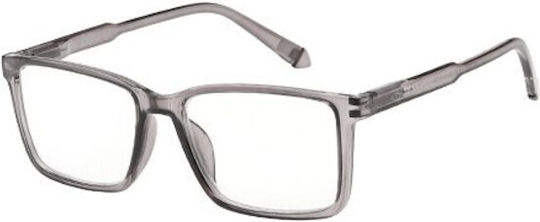 Ochelari de citit +2.50 în culoarea Gri