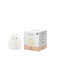 Cactus Clone Kinder Dekorative Lampe