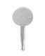 Handheld Showerhead with Filter
