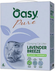 Oasy Bentonit Katzenstreu mit Duft Lavendel 6Es