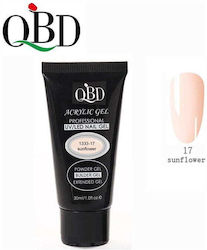 QBD Gel Νυχιών 17 30ml