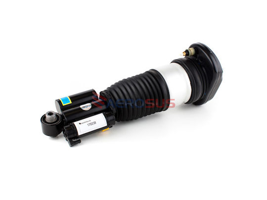 Aerosus Aerosus Bmw Series 6 G32 Gt G32 Gt Lci Shock Absorber Air Awd Vdc Rear Left 2017 2018 2019 2020 2021 2022 170238 170238-1