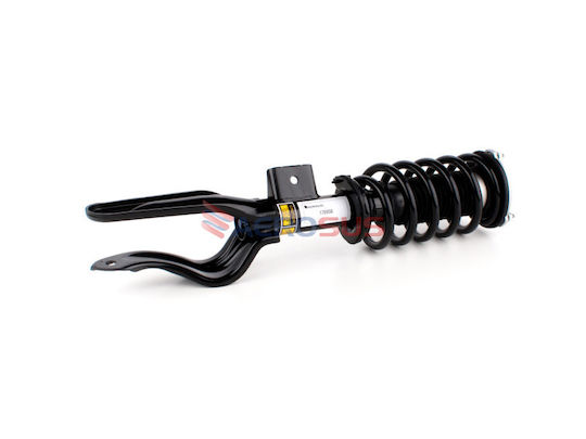 Aerosus Aerosus Tesla Model 3 5yj3 Awd 2017-2023 Front Left Shock Absorber Spring E3 M3 2017 2018 2019 2020 2021 2022 2023 178958 178958-1
