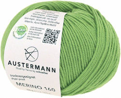 Austermann Merino Din Lână Nuanta Verde 160m