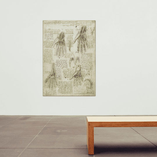 Canvas Leonardo Da Vinci Bones Muscles Tendons Of The Hand 46x66