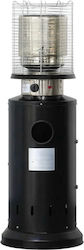 Proton Lighthouse Газов 13kW