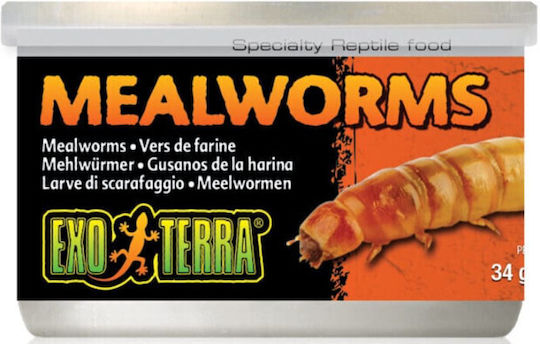 Exo Terra Ειδική Τροφή Ερπετά Αλευροσκώληκες 38g Exo Terra 2067979