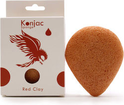 Soma Botanicals Σφουγγάρια Konjac Καθαρισμού Προσώπου Soma Botanicals Σφουγγάρια Konjac Καθαρισμού Προσώπου