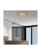 Zambelis Lights Ceiling Mount Light Black with Integrated LED