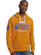 Logo Sweatshirt with Hood 6rg/thrift Gold Marl