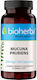 Bioherba Mucuna Pruriens Extract 350мг 100 капси