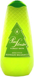 Pino Silvestre Schaumbad 750ml Pino Silvestre Schaumbad 750ml