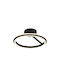 Trio Lighting Amador Ceiling Mount Light Black