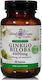Botanical Harmony Ginkgo Biloba 6000mg 60 ταμπλέτες