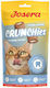 Josera Котешка Лакомство Crunchies Dental 60гр
