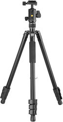 Vanguard VA-000146 Αλουμίνιο Vanguard VA-000146 Αλουμίνιο