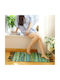 Fiesta Rug Rectangular Cotton with Fringes Green